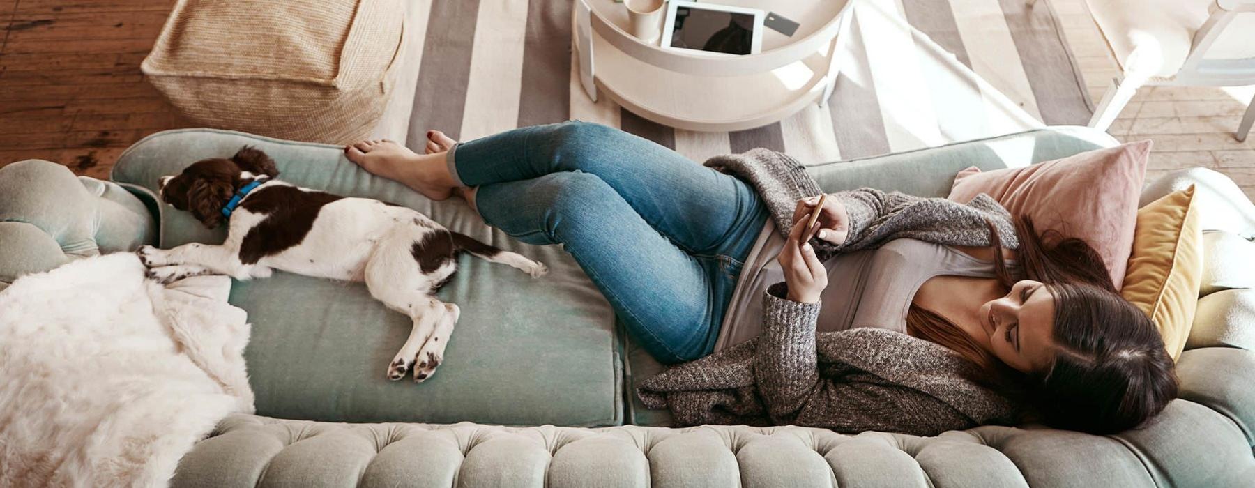 overhead view of  a woman texting as she lies on a couch with a dog at her feet